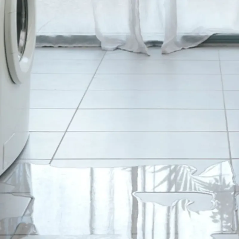 Appliance Leak Cleanup in Walbridge, OH
