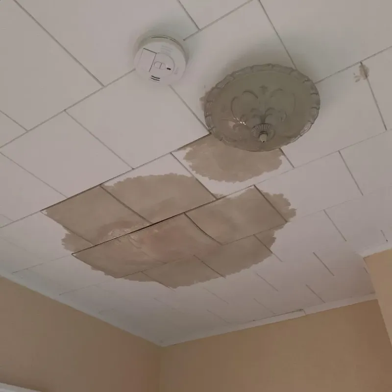 Ceiling Water Damage Repair in Walbridge, OH