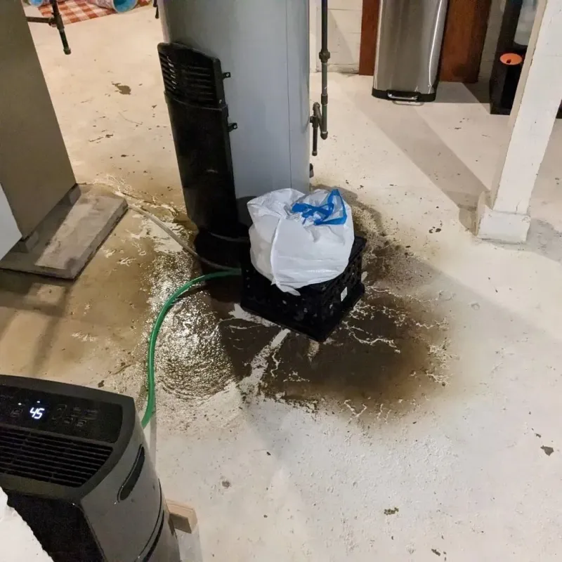 Sewage Backup Cleanup Service in Walbridge, OH